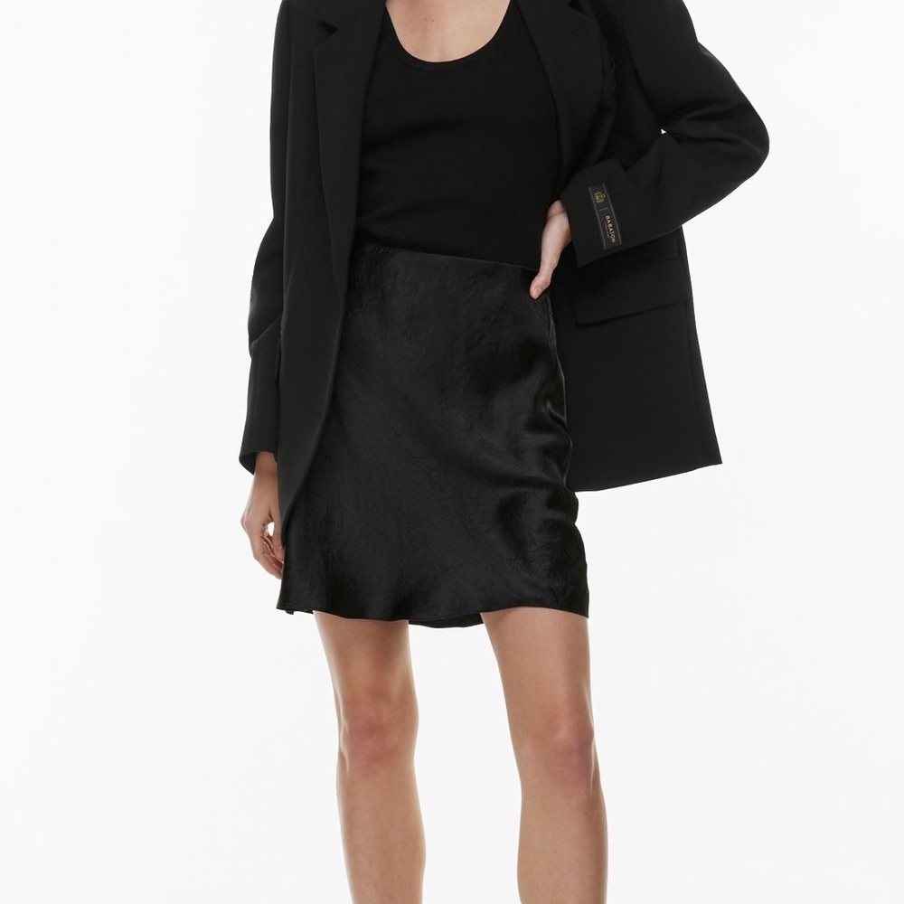Aritzia Babaton Slip Skirt